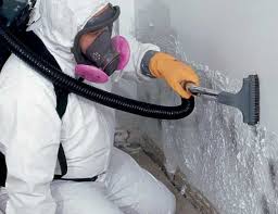 Best Forensic Mold Investigation  in Fort Valley, GA